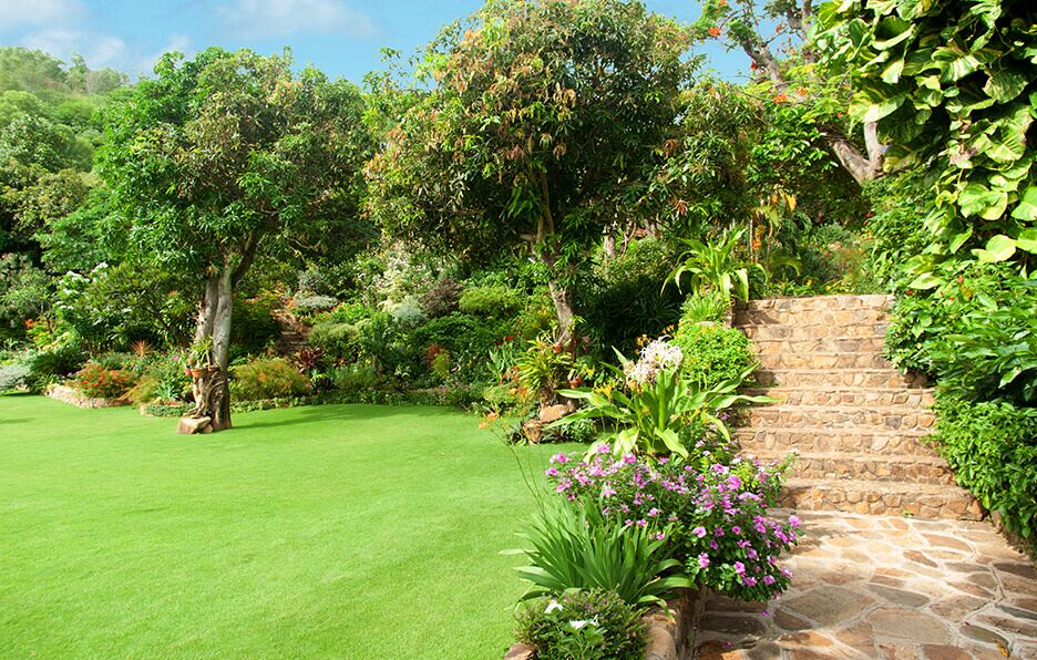 SJ Tree Service Landscaping And Snow Removal Landscaping Services